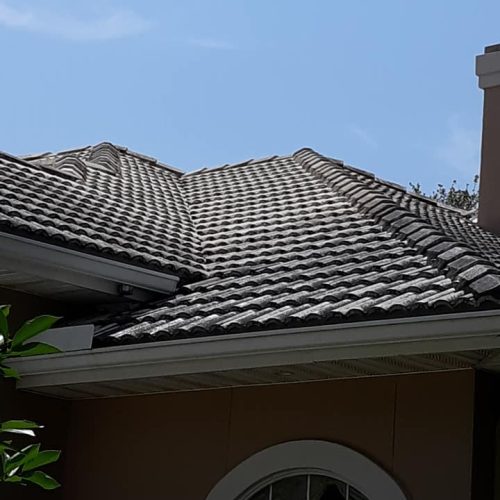 92574485 3197204043681348 7932602165313404928 n